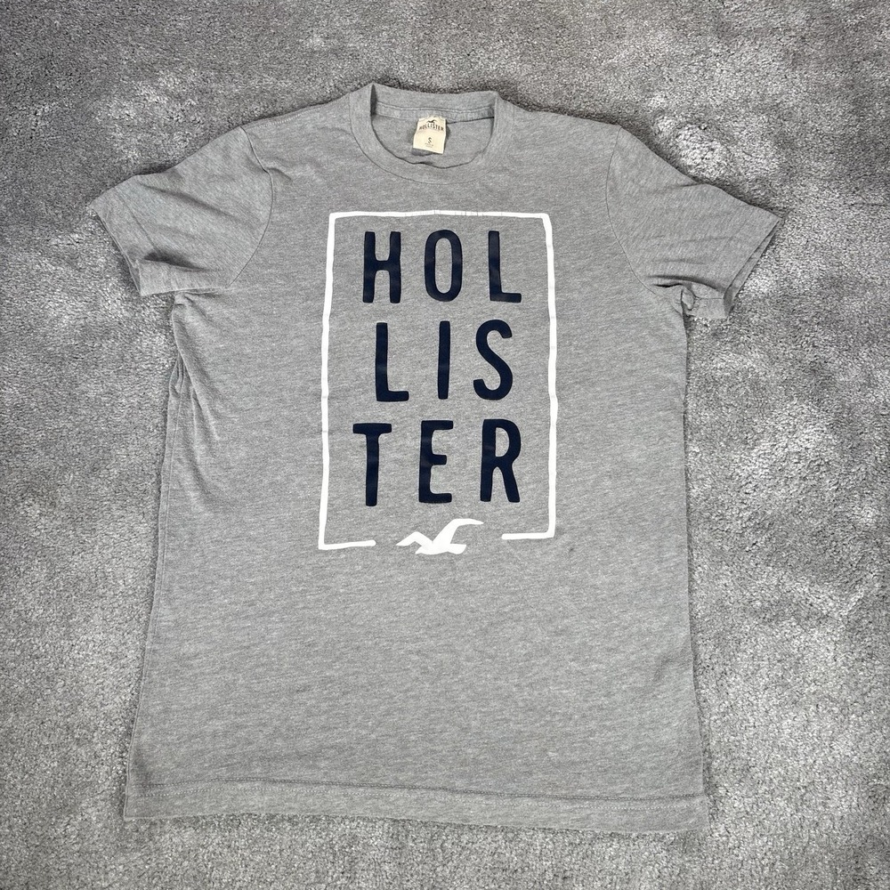 Vintage Hollister T Shirt Mens S Gray Graphic Short Sleeve Skater Surf Y2K